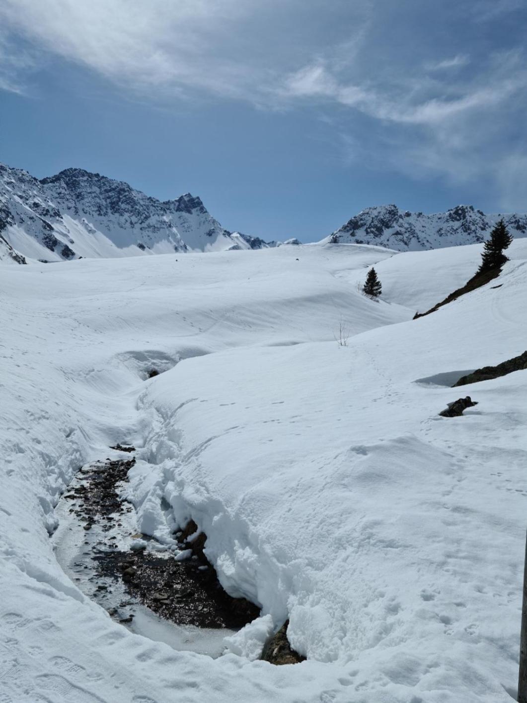 Fewo D'Rock Arosa- Center Of Nightlife By Nature Apartments Switzerland Экстерьер фото