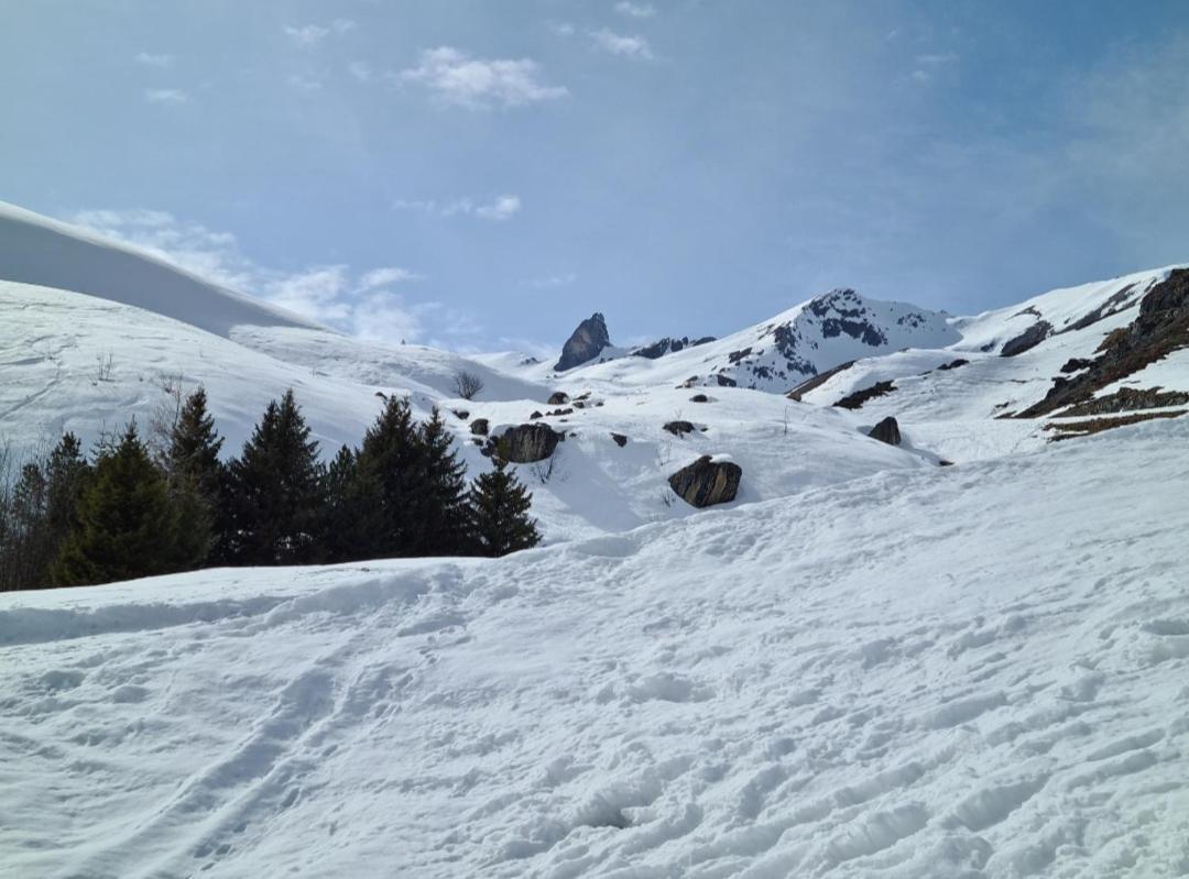 Fewo D'Rock Arosa- Center Of Nightlife By Nature Apartments Switzerland Экстерьер фото