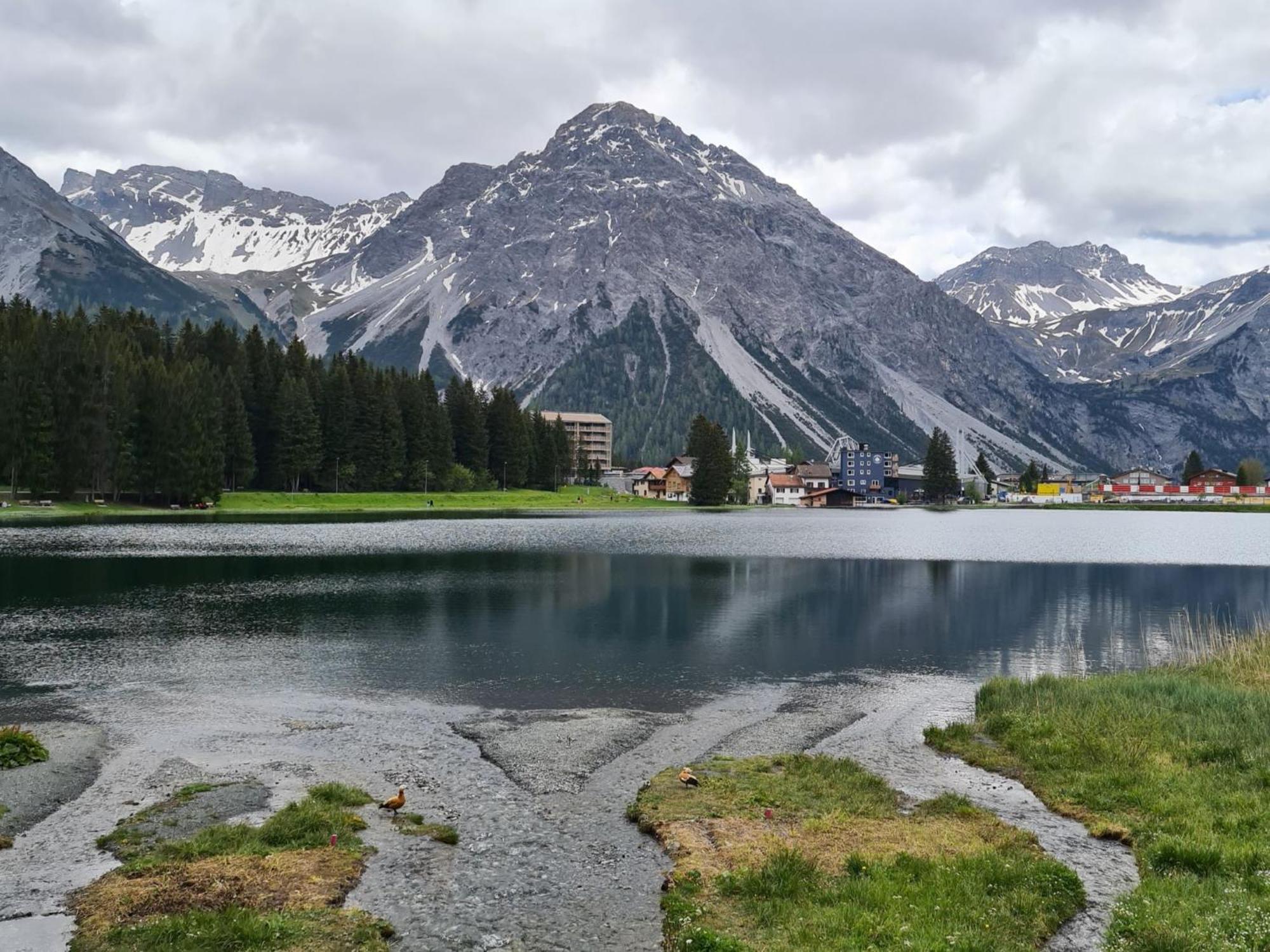 Fewo D'Rock Arosa- Center Of Nightlife By Nature Apartments Switzerland Экстерьер фото